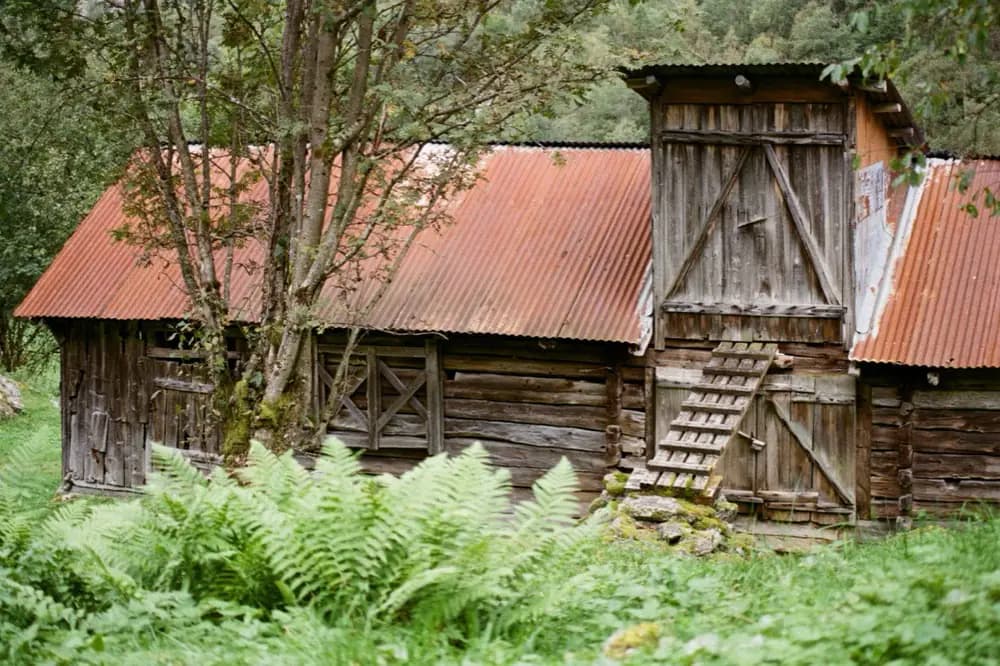 Grange de bois coiffée d'une couverture ondulée rouillée