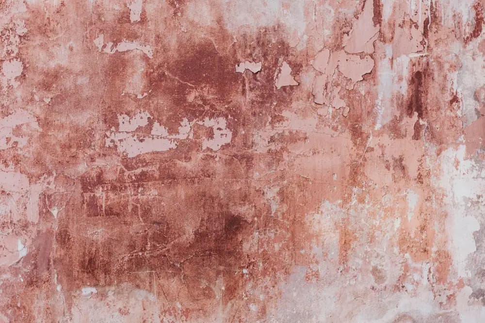 Enduit rose décollé par plaques sur un mur ancien